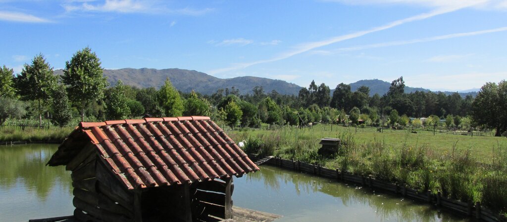 Pentieiros 1 1 1024 450