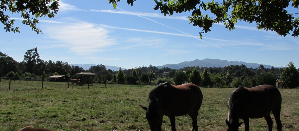 Pentieiros 3 1 1024 450