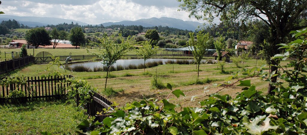 Pentieiros 2 1 1024 450