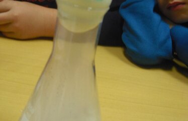 Se ciencia nov16 gandra 1 1 374 240