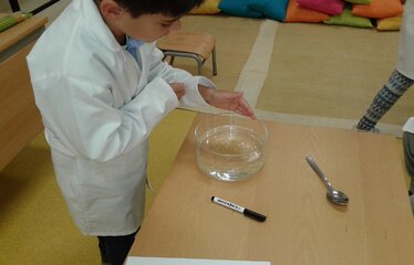 Se ciencia nov16 facha 1 1 374 240