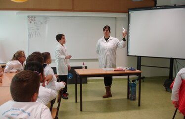 Se ciencia nov16 freixo 1 1 374 240