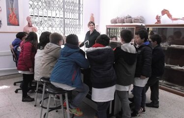 Ufp ptlima abr16 1 1 374 240