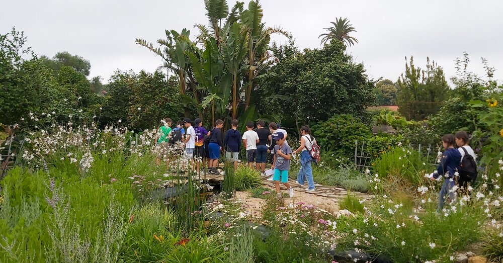 Alunos em visita ao Festival Internacional de Jardins