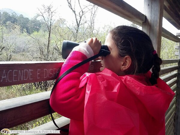 Ecd correlha mar17 5 1 1024 450