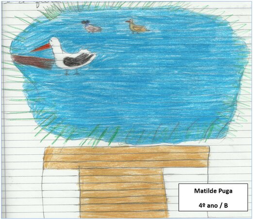 Matilde puga 1 1024 450