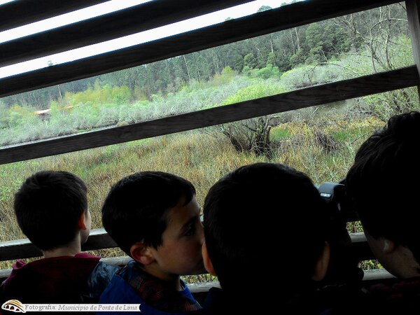 Ecd freixo mar17 2 1 1024 450