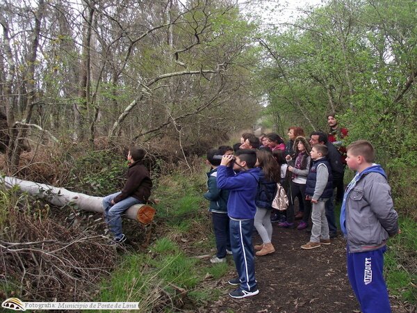 Ecd trovela mar17 4 1 1024 450