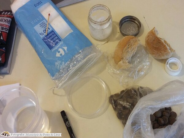 Ecd vitpiaes abr17 2 1 1024 450