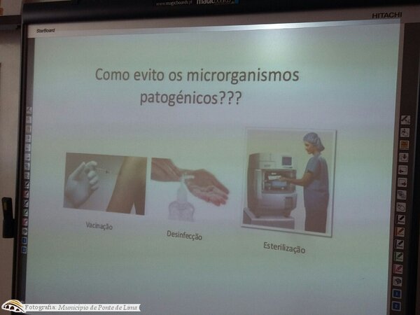 Ecd vitpiaes abr17 4 1 1024 450