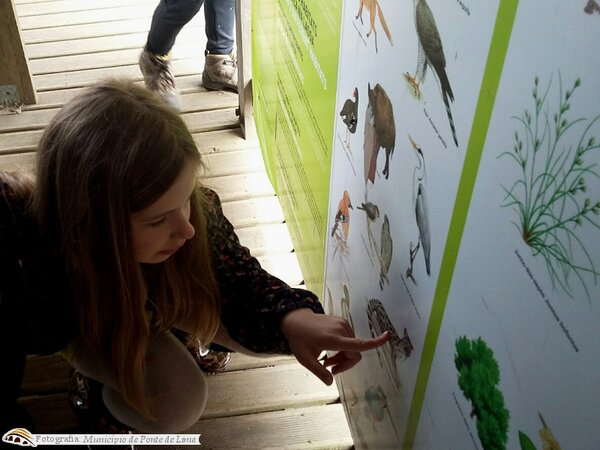 Ecd vitpiaes mar17 3 1 1024 450