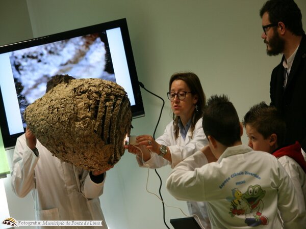 17mar inaug ecd freixo 8 1 1024 450