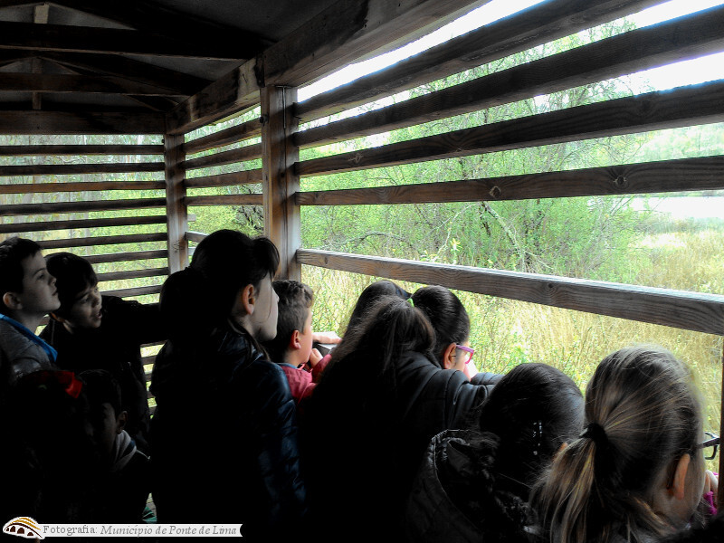 Ecd freixo mar17 1 1 1024 1000