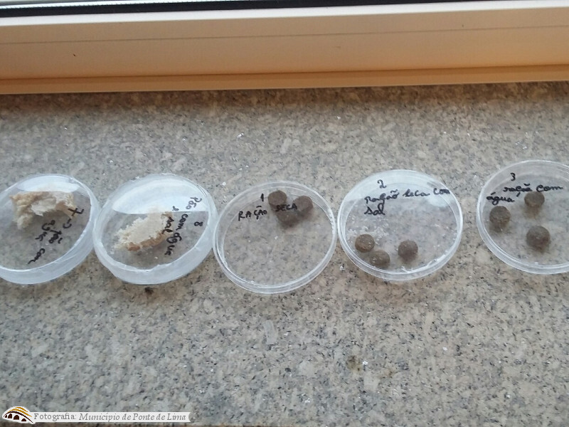 Ecd vitpiaes abr17 1 1 1024 1000