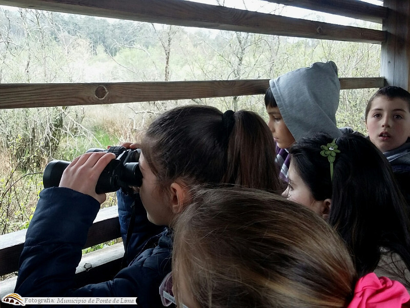 Ecd vitpiaes mar17 1 1 1024 1000